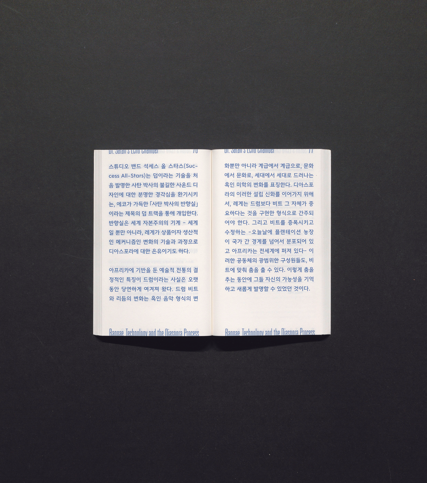 Dr Satan's Echo Chamber - Reggae, technology and diaspora courses