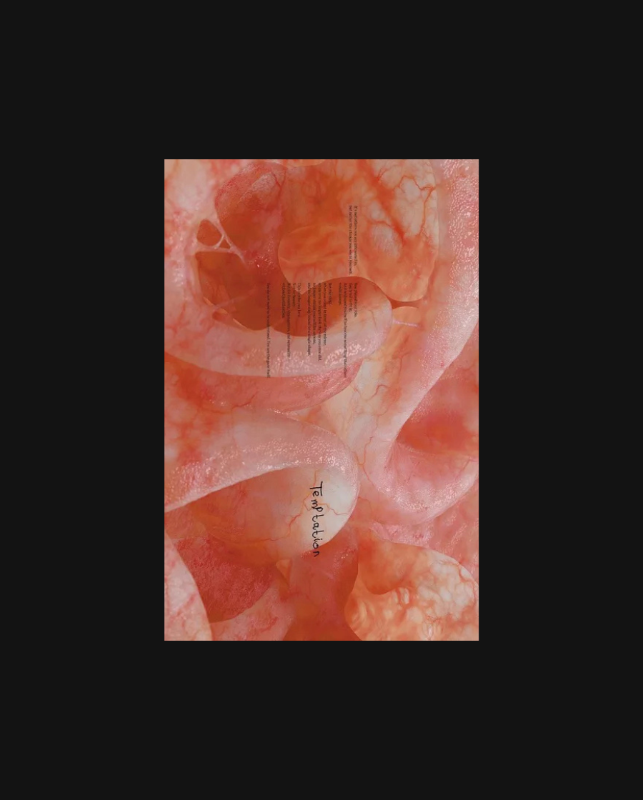 yyin. Volume 02: MONSTER