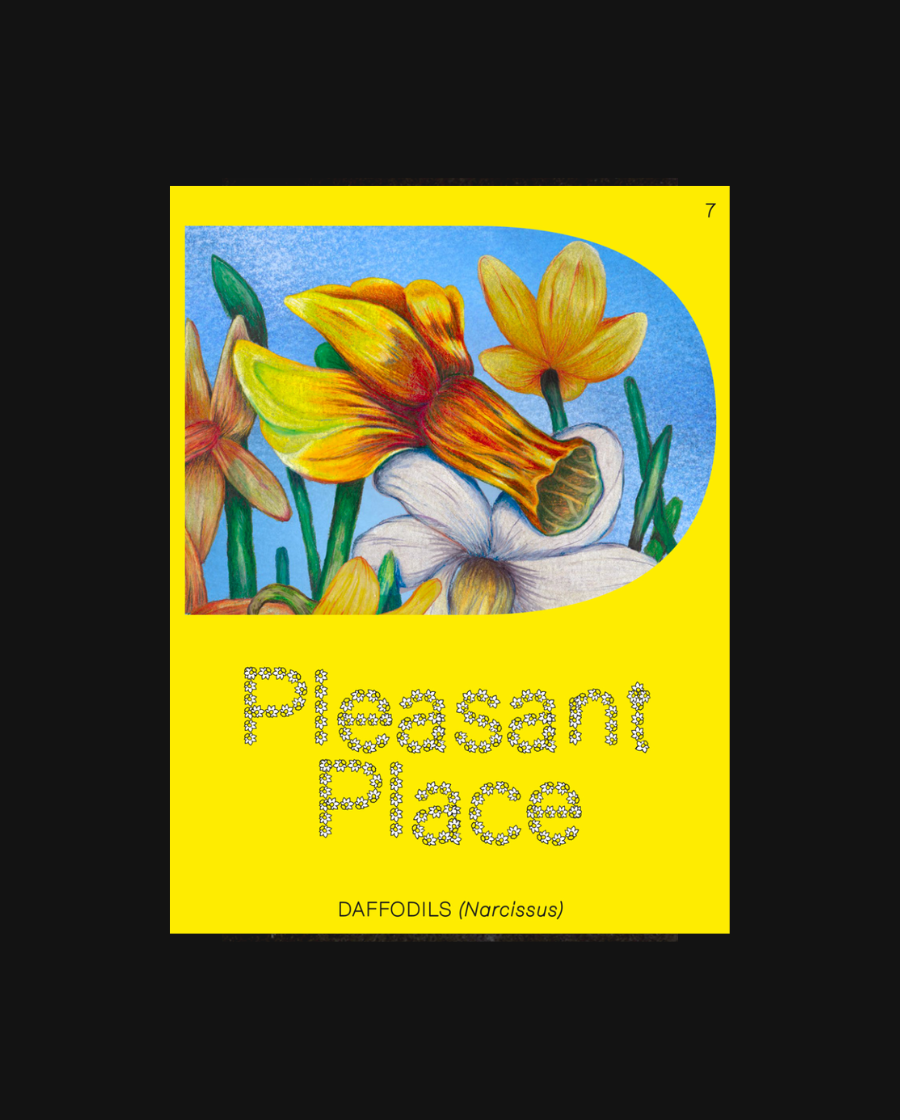Pleasant Place 7: Daffodils