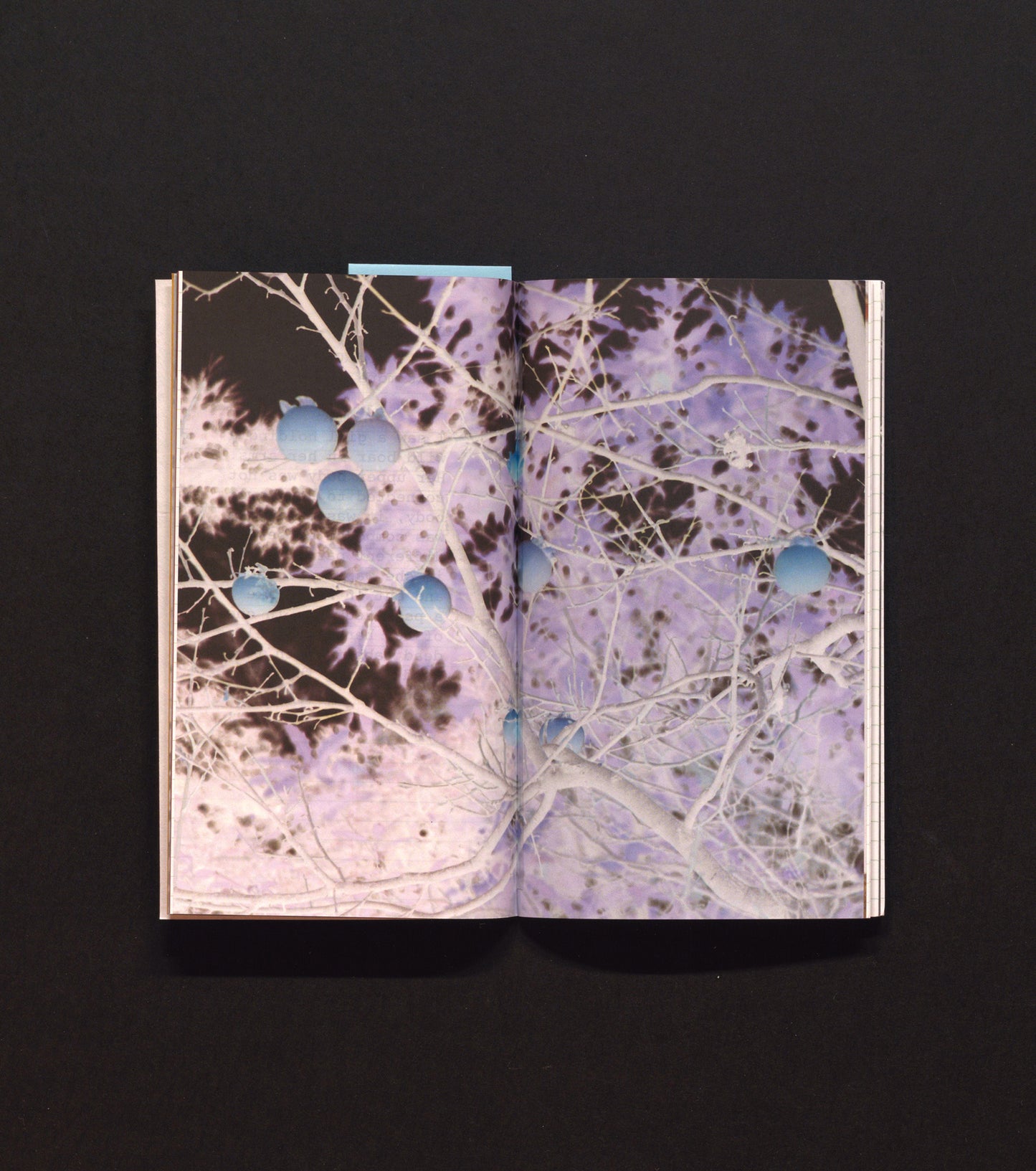The Human Orchid: Branches