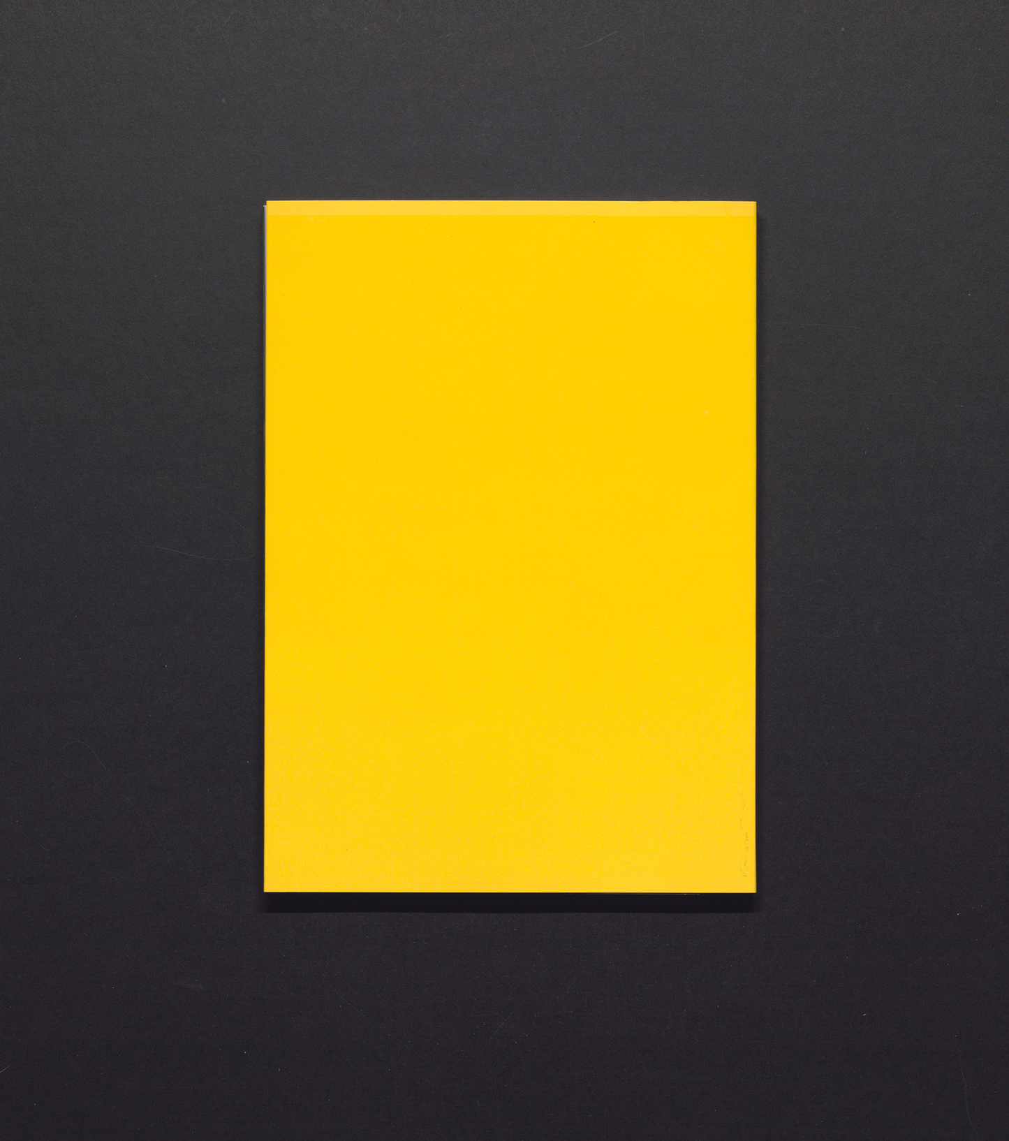 And Knut’s mountain bike has been stolen