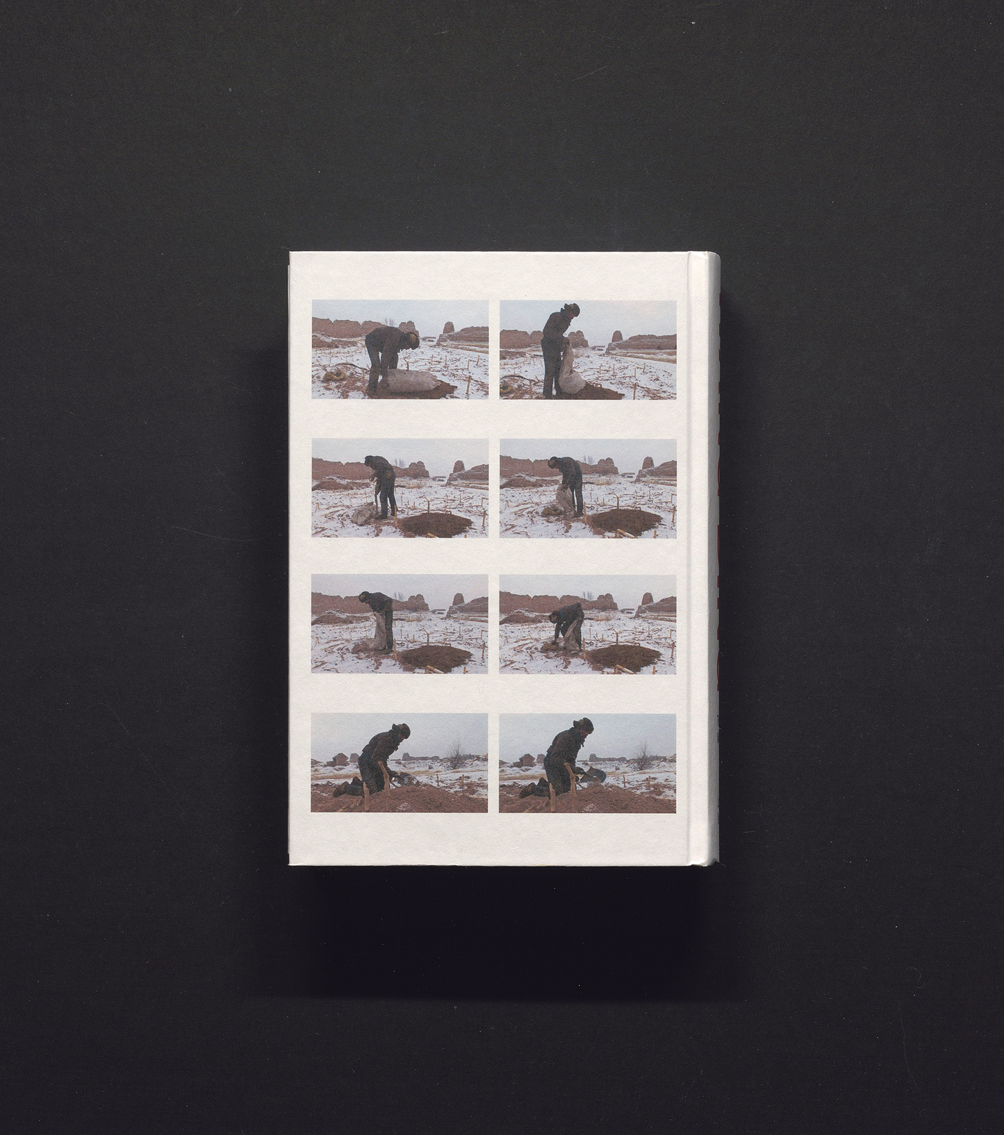 Wang Bing - The Walking Eye