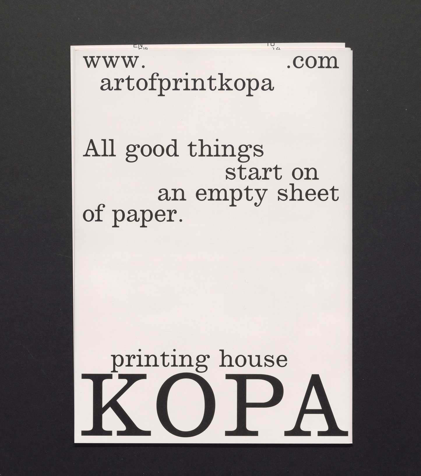 Revue Faire No. 13 - A curatorial work: Graphic Design in the White Cube by Peter Bil’ak