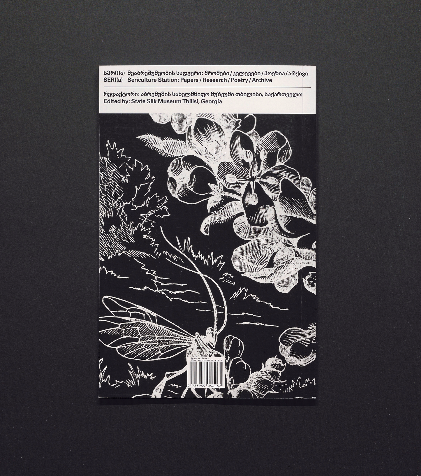 SERI(a) 2: Silk is a Noun