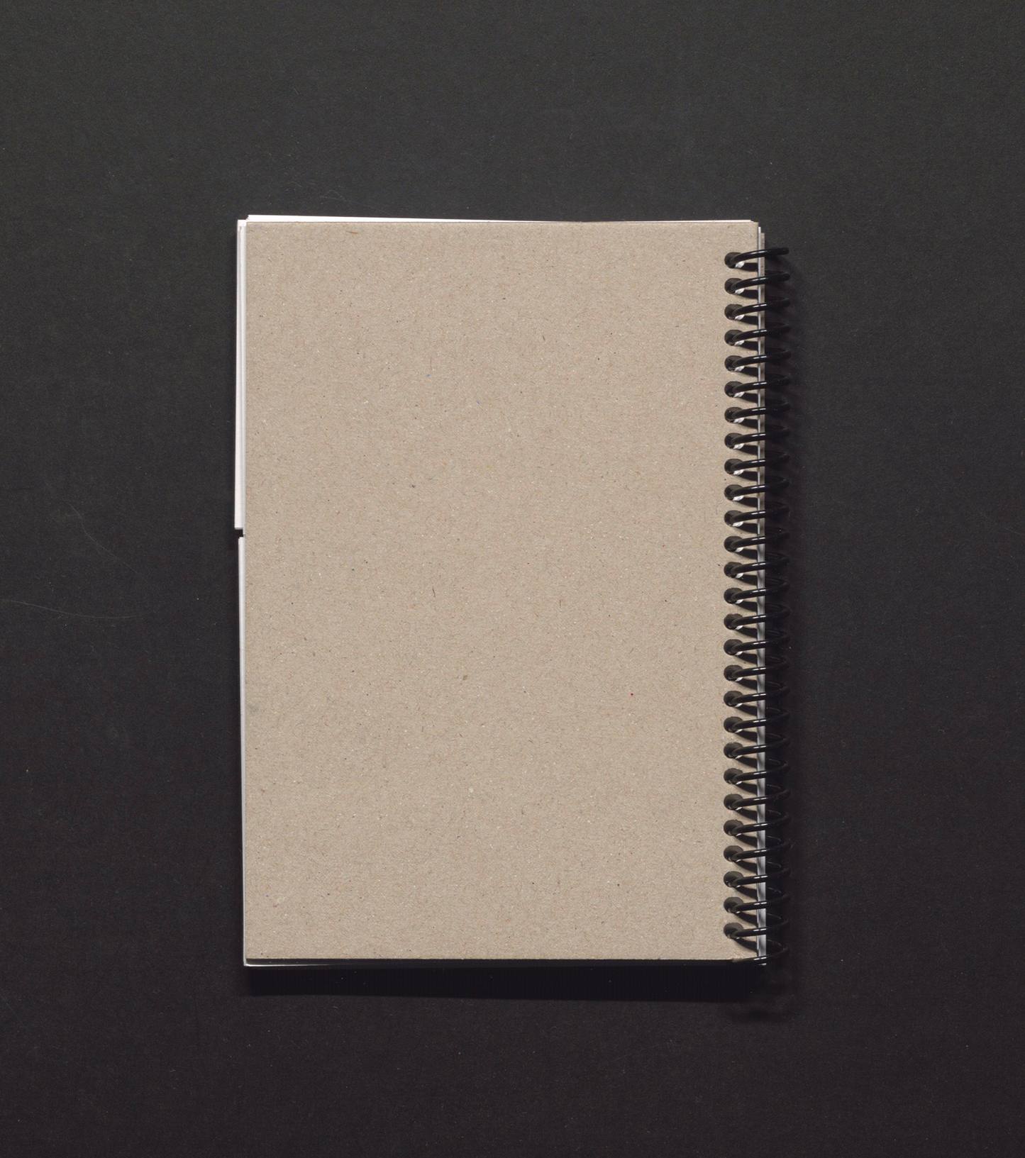 The History of the Concave and the Convex