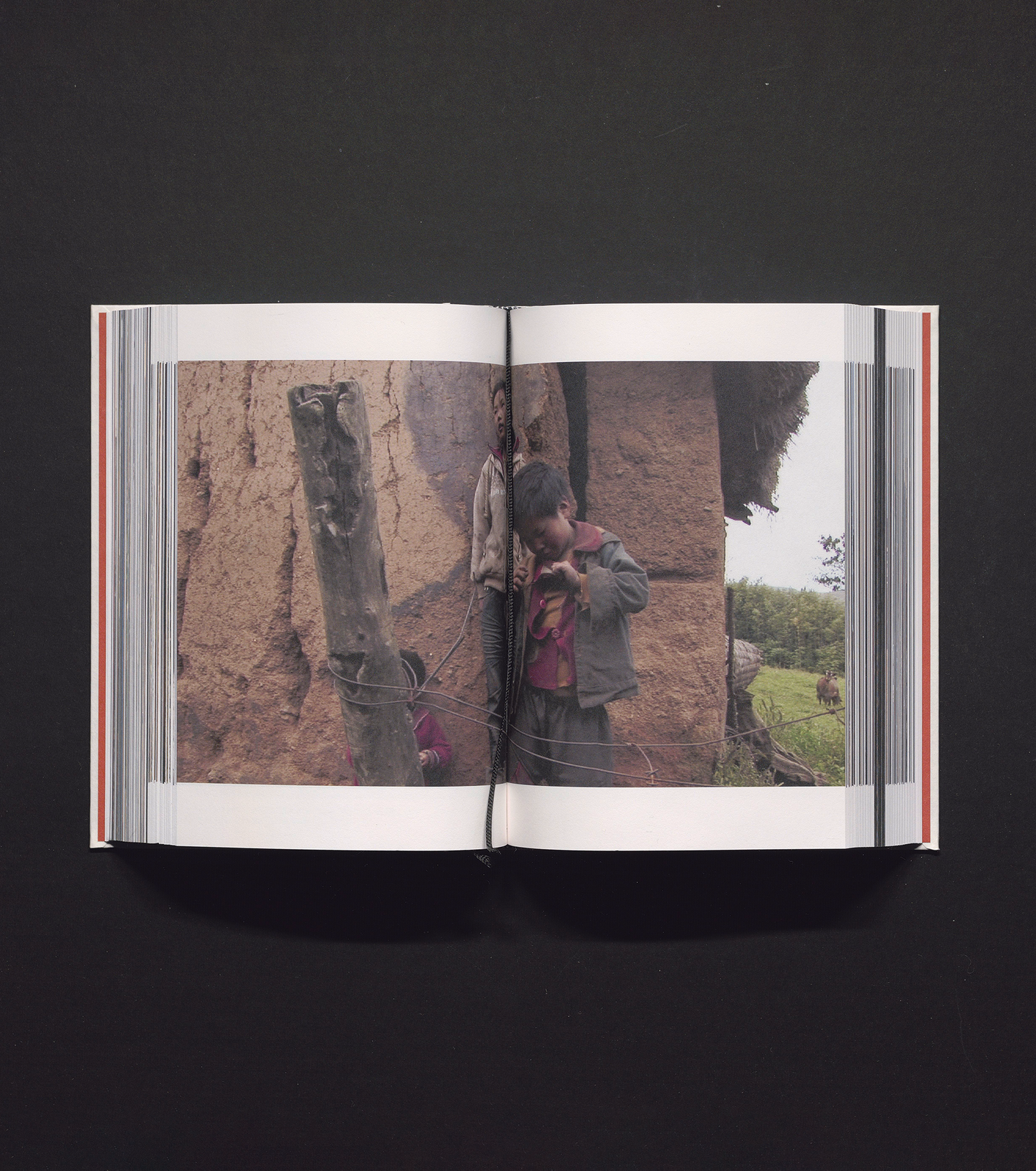 Wang Bing - The Walking Eye