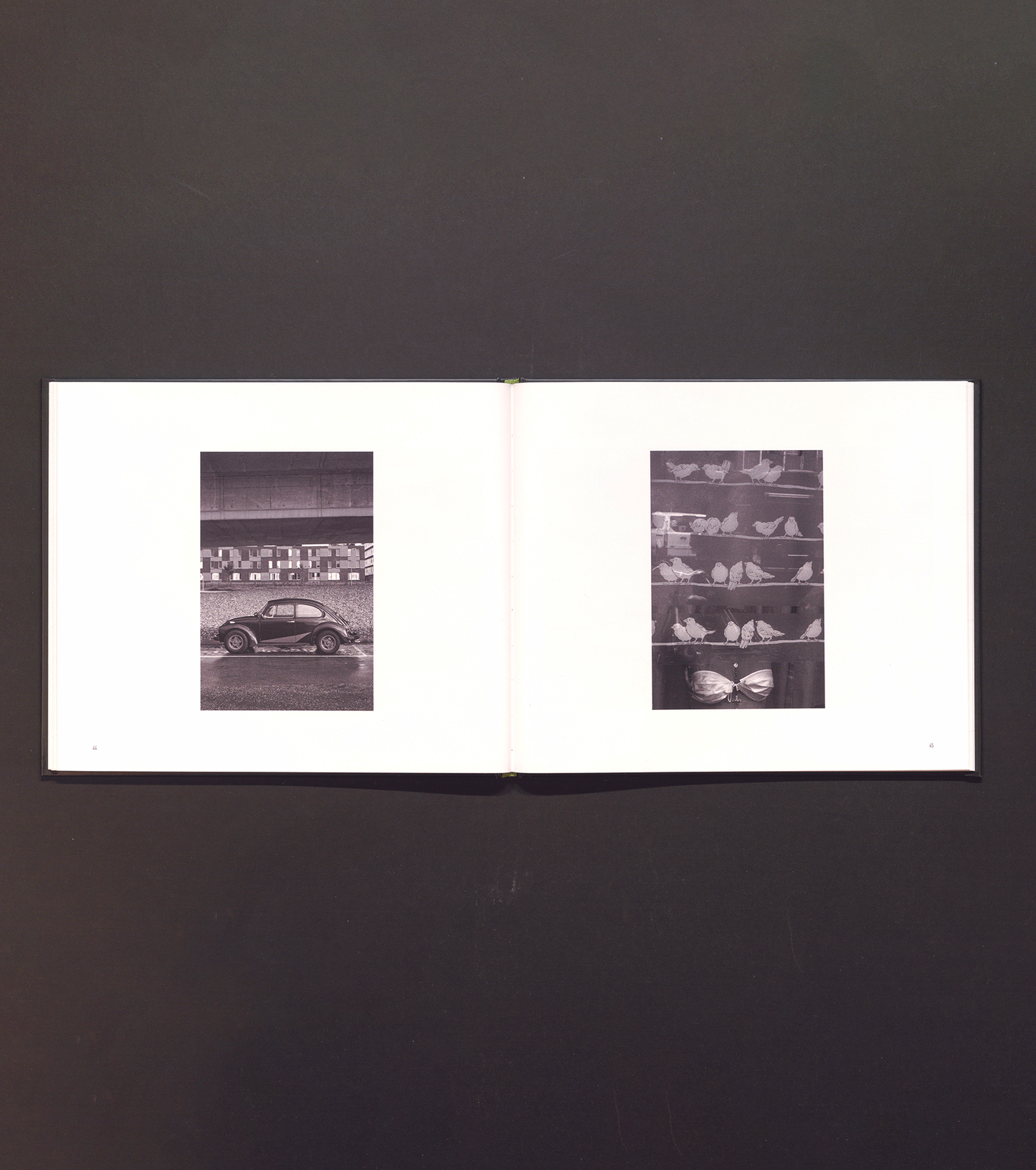 Eerste Indruk - First Impressions Maastricht