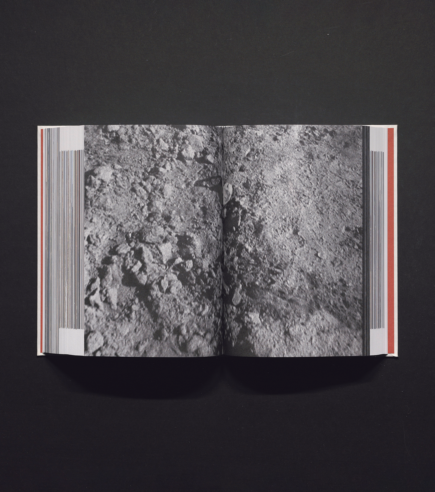 Wang Bing - The Walking Eye