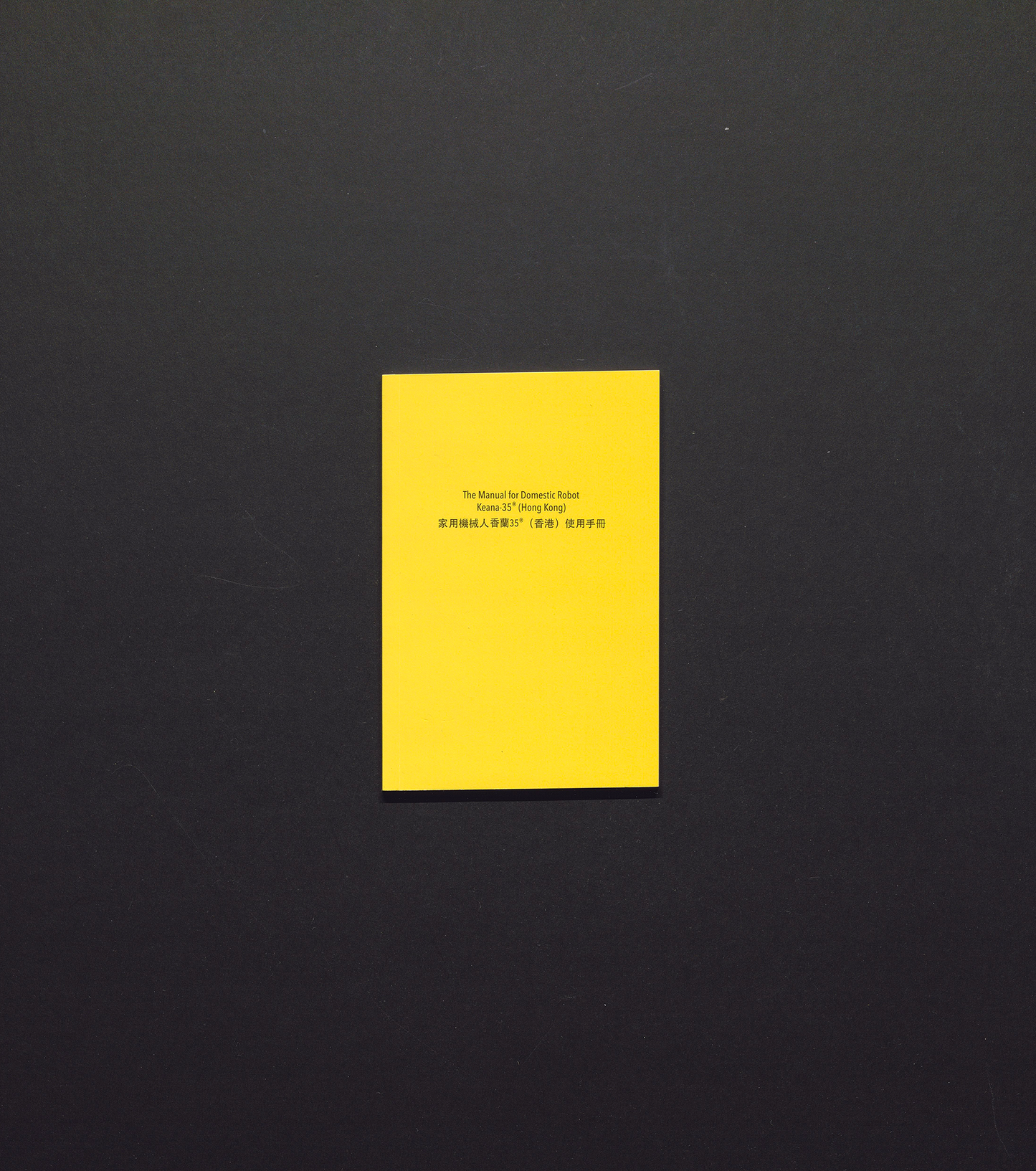 The Manual for Domestic Robot Keana-35