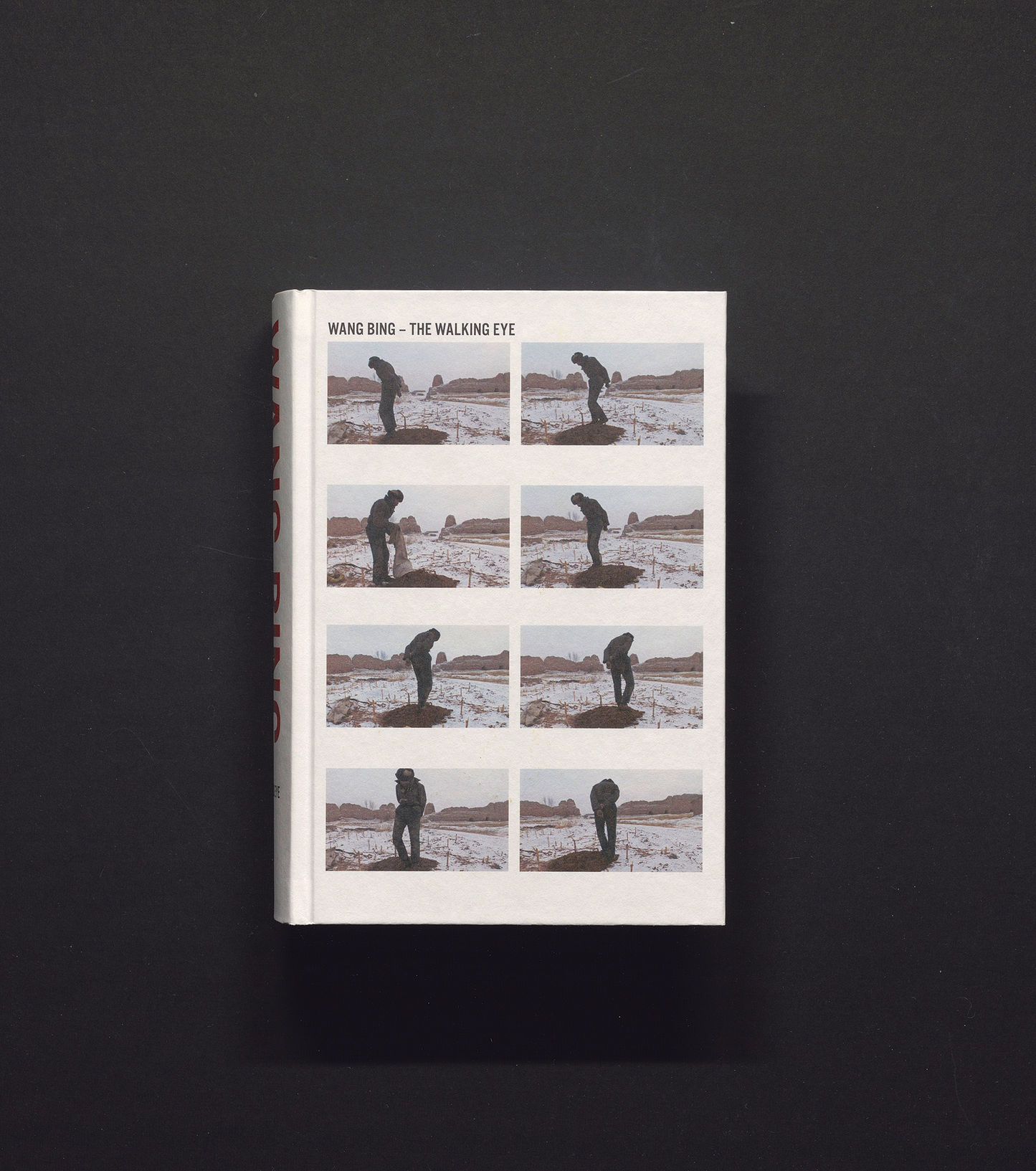 Wang Bing - The Walking Eye