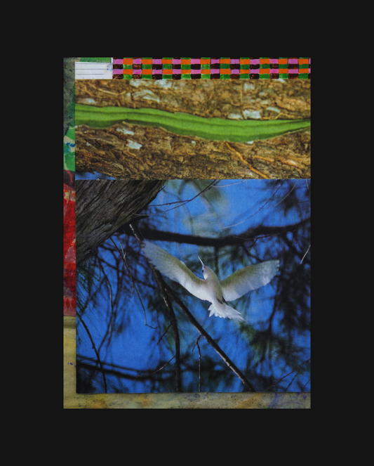 it is part of an ensemble: part 47 (carriers)