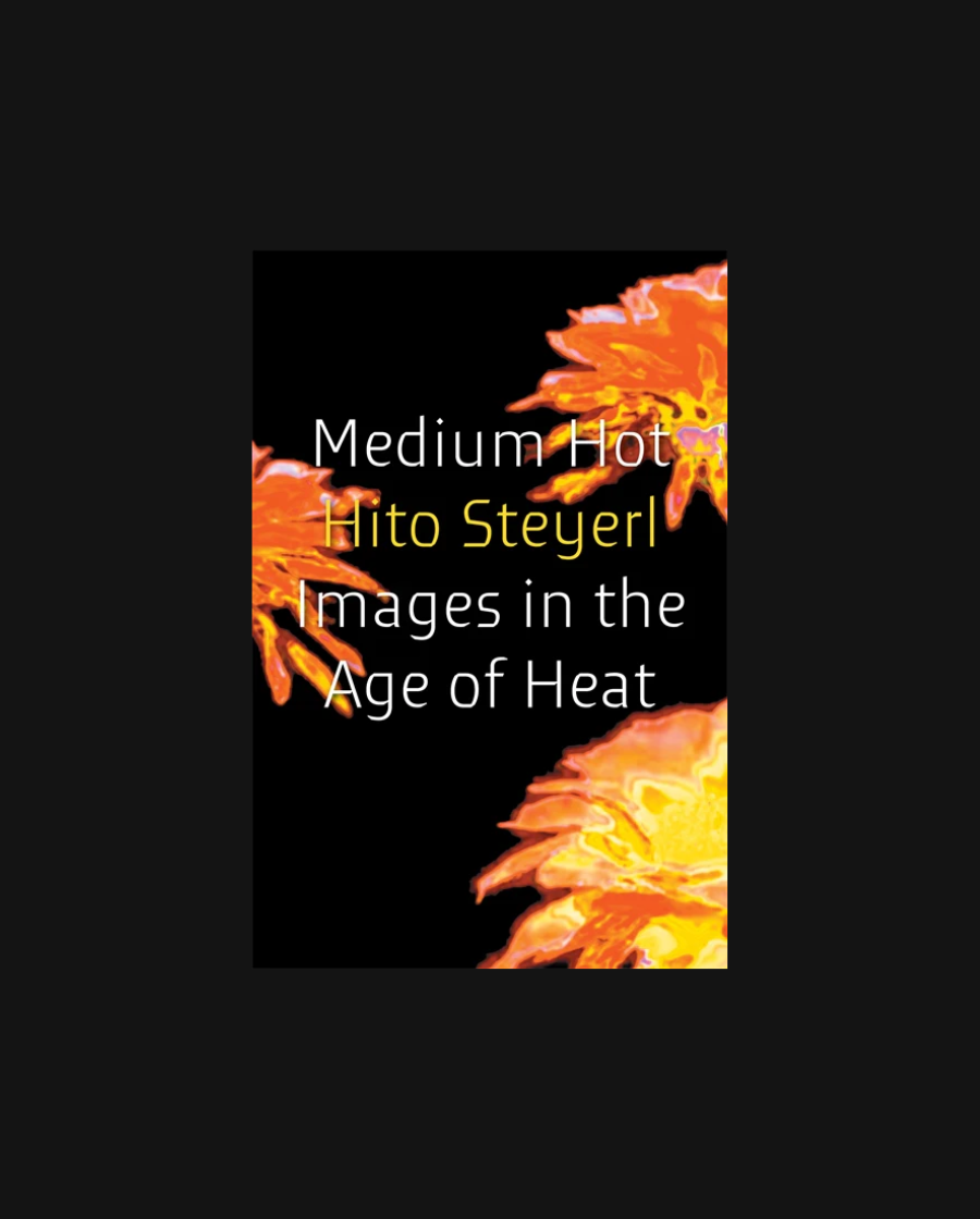 Medium Hot: Images in the Age of Heat