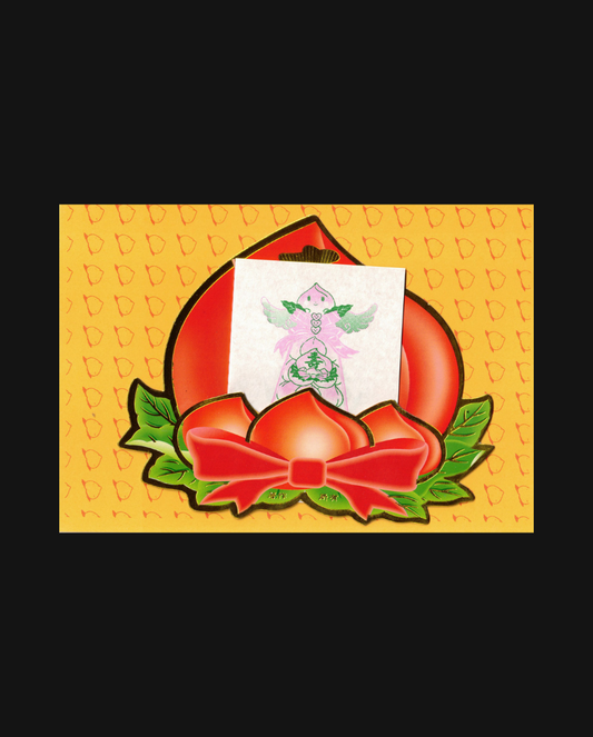 Divine Objects Journal: Longevity Peach Zine