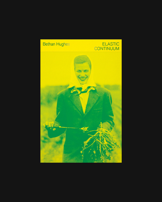 Elastic Continuum: Processing Process