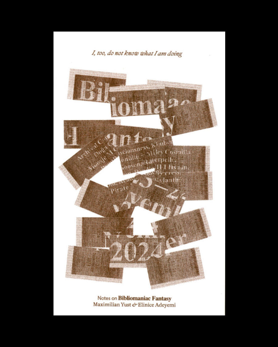 I, too, do not know what I am doing: Note on Bibliomaniac Fantasy