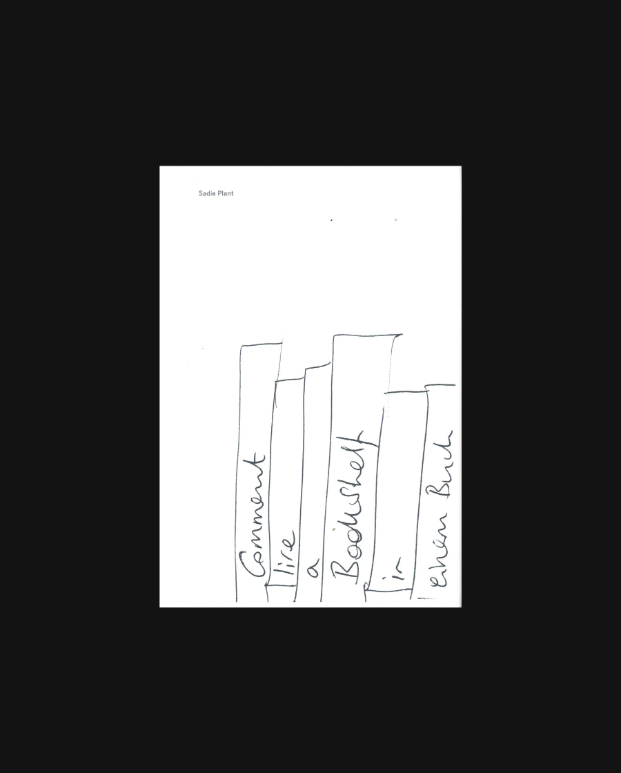 Sadie Plant: Comment lire a bookshelf in einem Buch