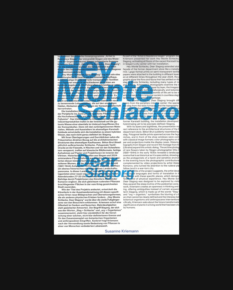 Hey Monte Schlacko, Dear Schlagorg