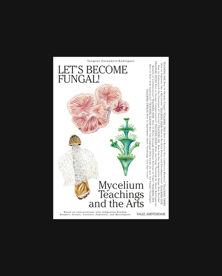 Let's Become Fungal! Mycelium Teachings and the Arts