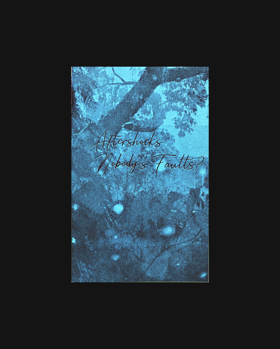 Aftershocks: Nobody's Faults?