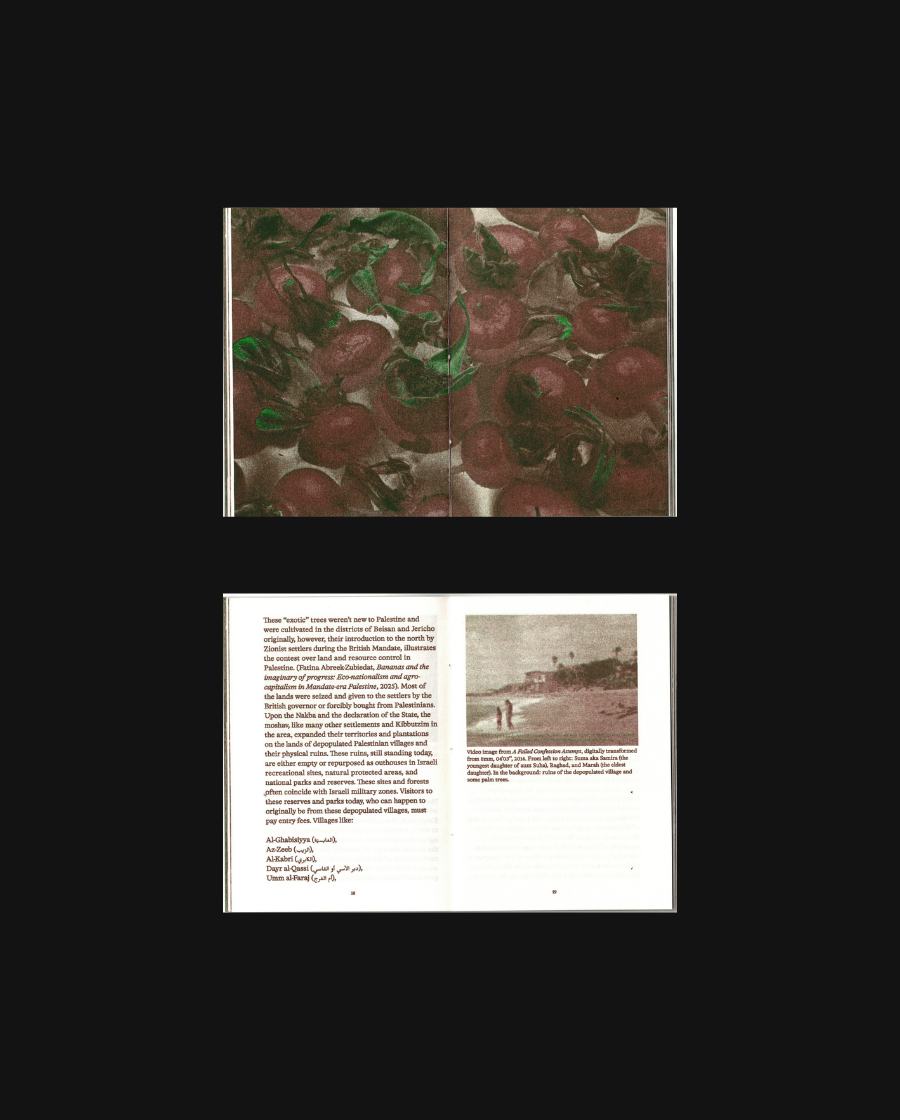 Melon #1: On Foraging in Palestine, Japan & Maastricht