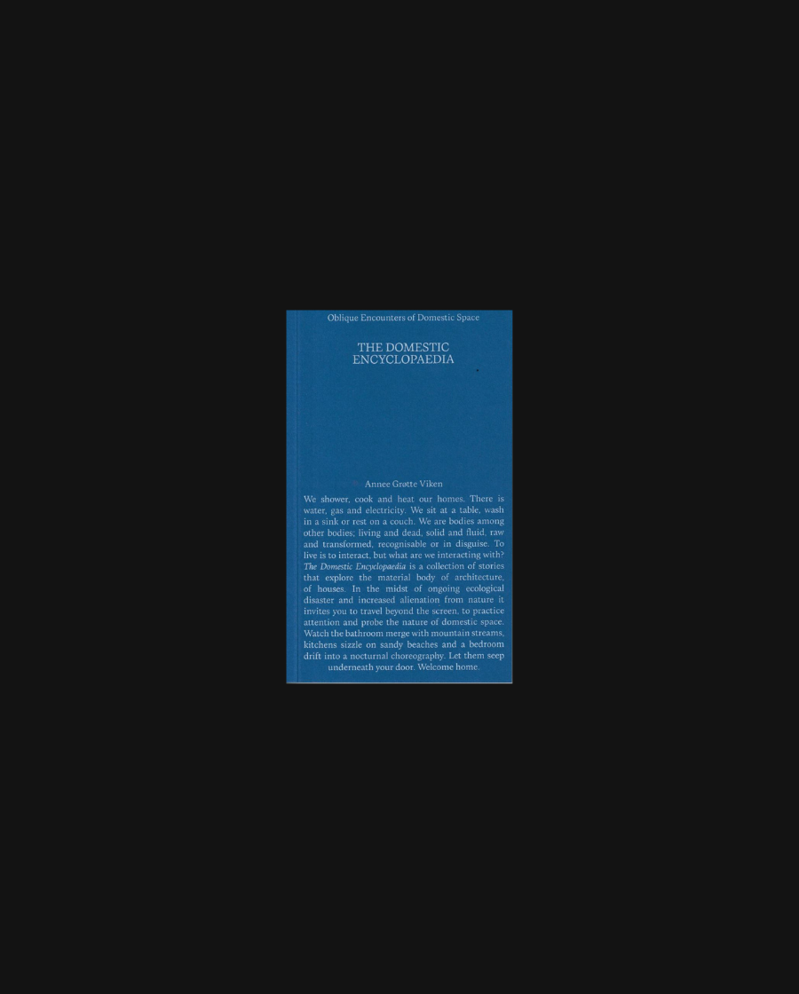 The Domestic Encyclopaedia – Oblique Encounters of Domestic Space