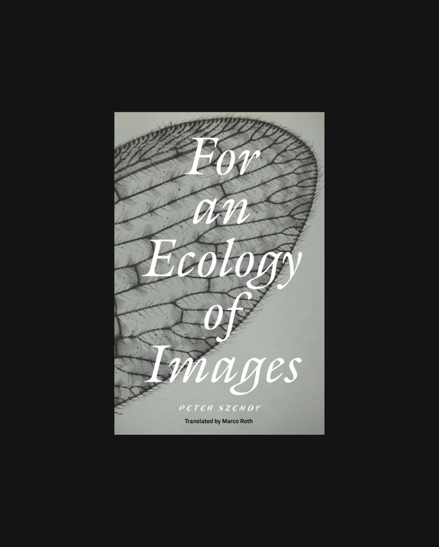 For an Ecology of Images