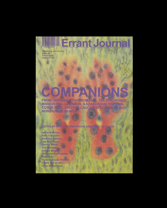 Errant Journal #9: Companions
