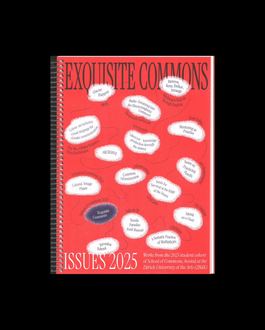 Issues 2025: Exquisite Commons