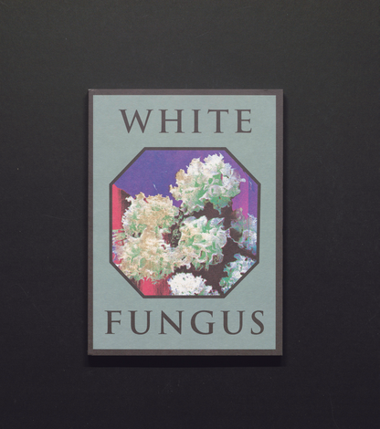 White Fungus - #16