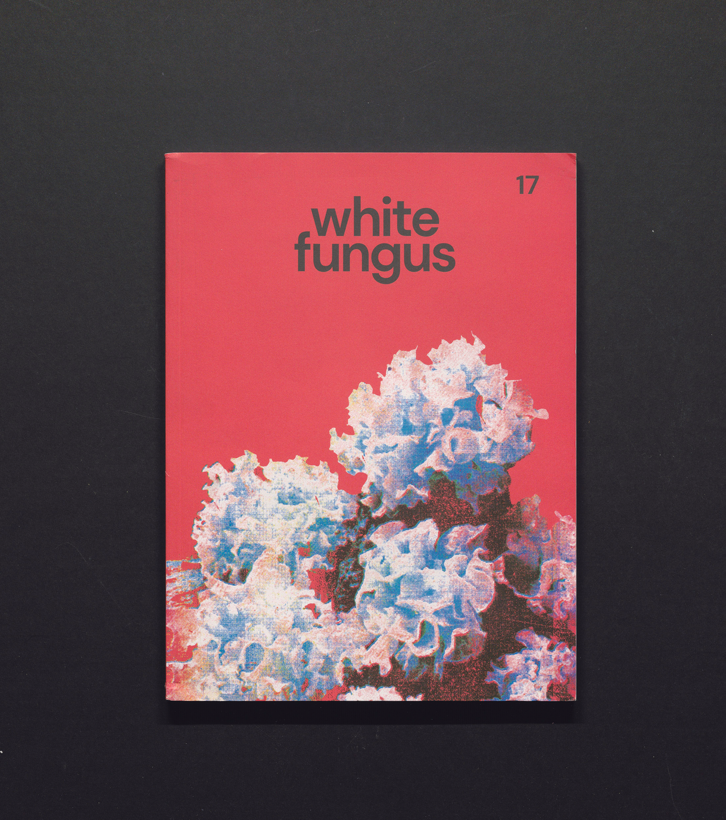 White Fungus - #17