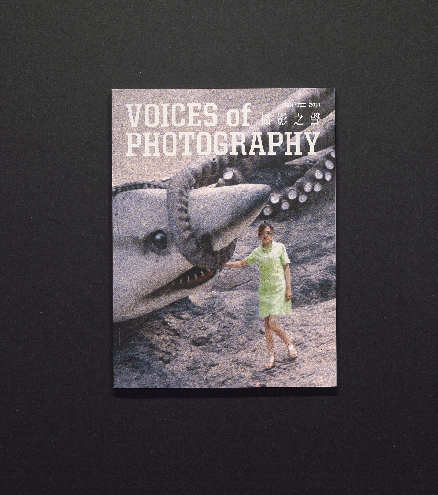 Voices of Photography no.11 - Image Archives