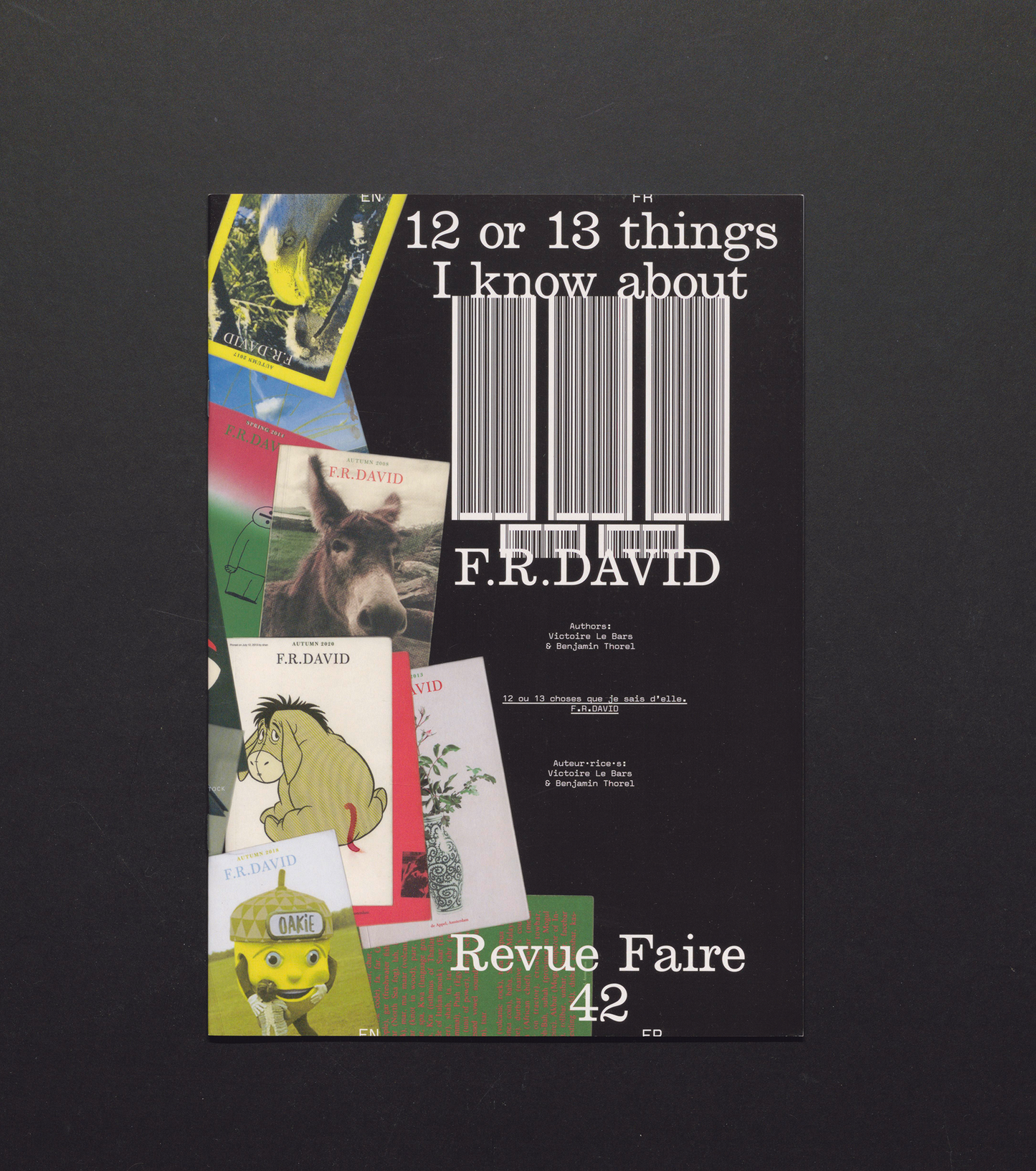 Revue Faire No. 42 - 12 ou 13 things I know about: F.R.DAVID