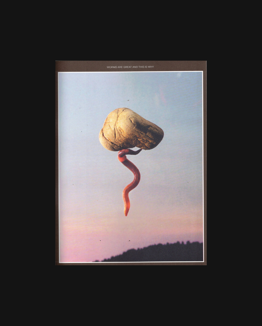 Issue 3: Compost