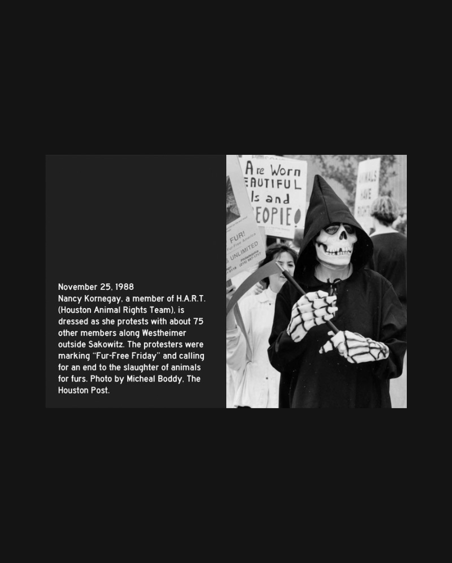 Protest Grim Reapers