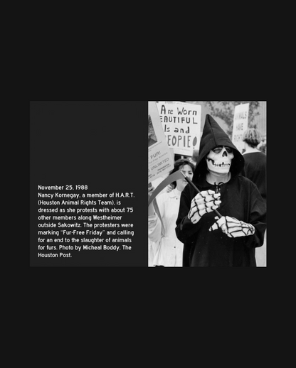 Protest Grim Reapers