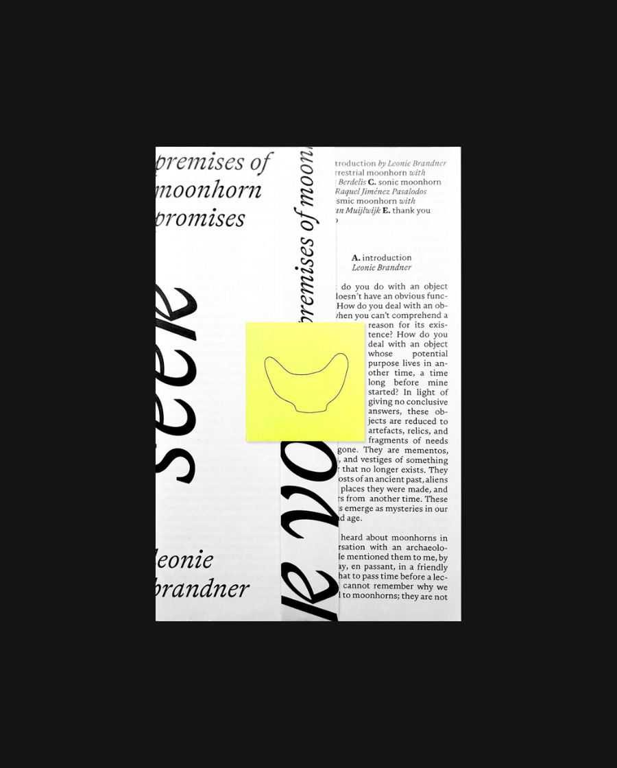 Seek You - premises of moonhorn promises