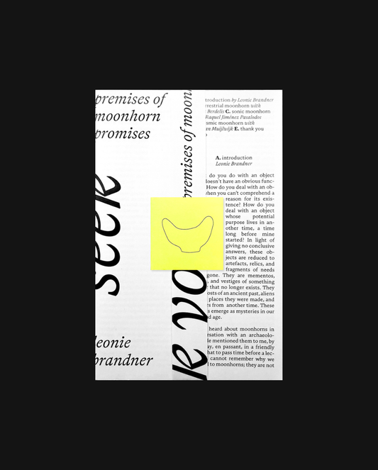 Seek You - premises of moonhorn promises