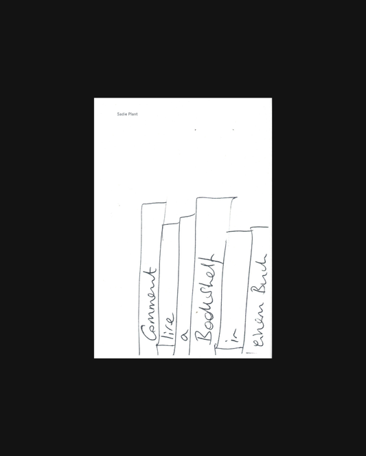 Sadie Plant: Comment lire a bookshelf in einem Buch