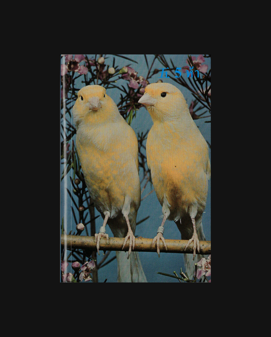 『目錄 CATALOGUE』No. 05