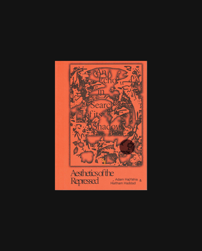 An Echo in Search of its Shadow, Aesthetics of the Repressed