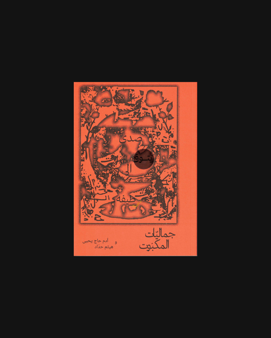 An Echo in Search of its Shadow, Aesthetics of the Repressed