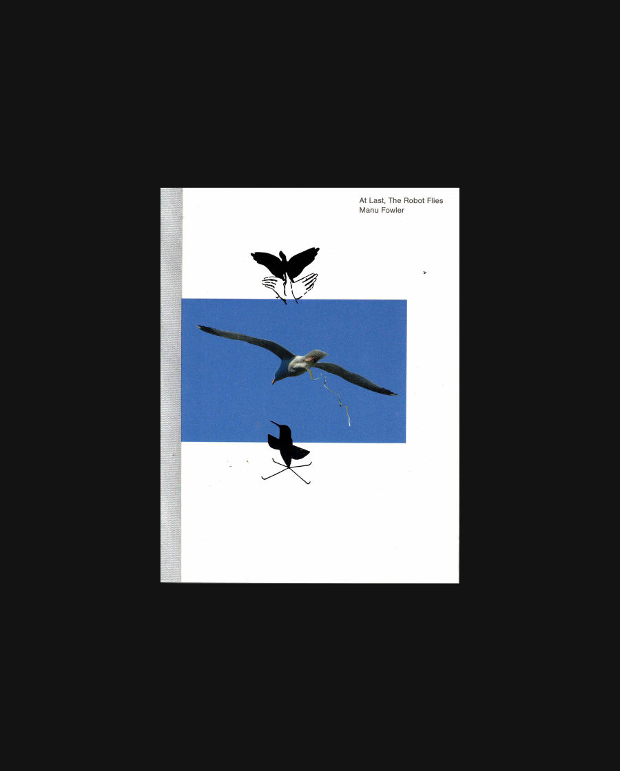 At Last, The Robot Flies
