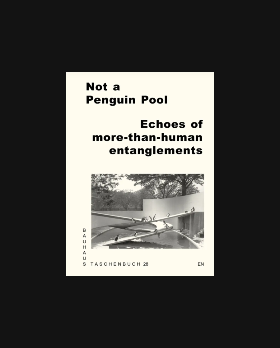 Not a Penguin Pool Echoes of More-Than-Human Entanglements.