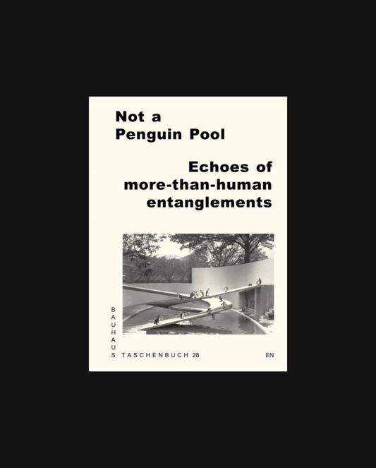 Not a Penguin Pool Echoes of More-Than-Human Entanglements.