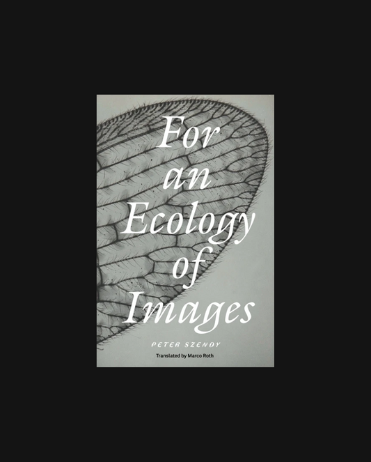 For an Ecology of Images